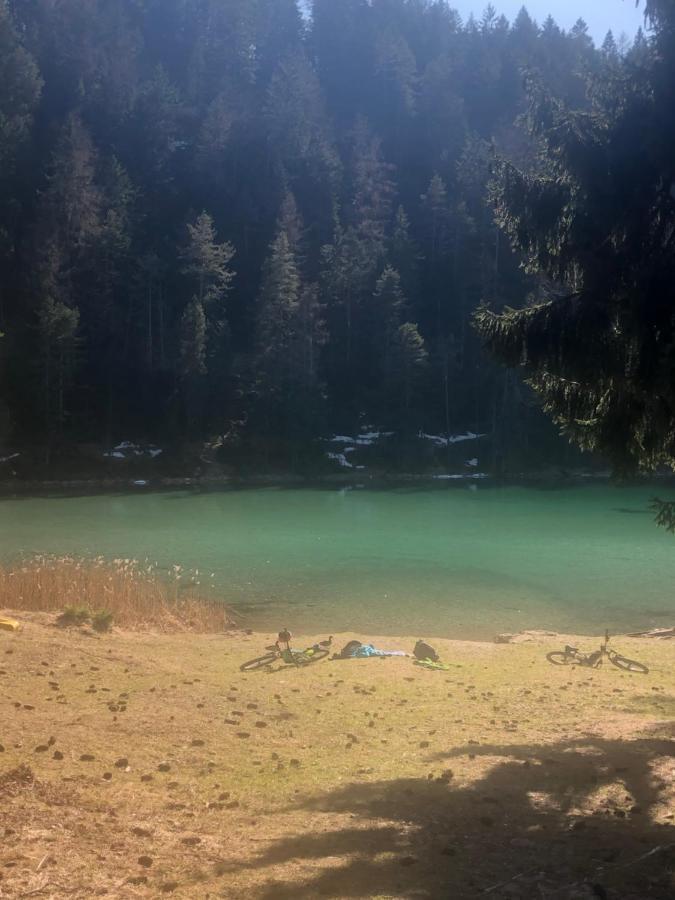 莱尔莫斯Panoramablick公寓 外观 照片