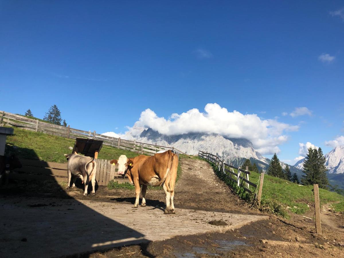 莱尔莫斯Panoramablick公寓 外观 照片